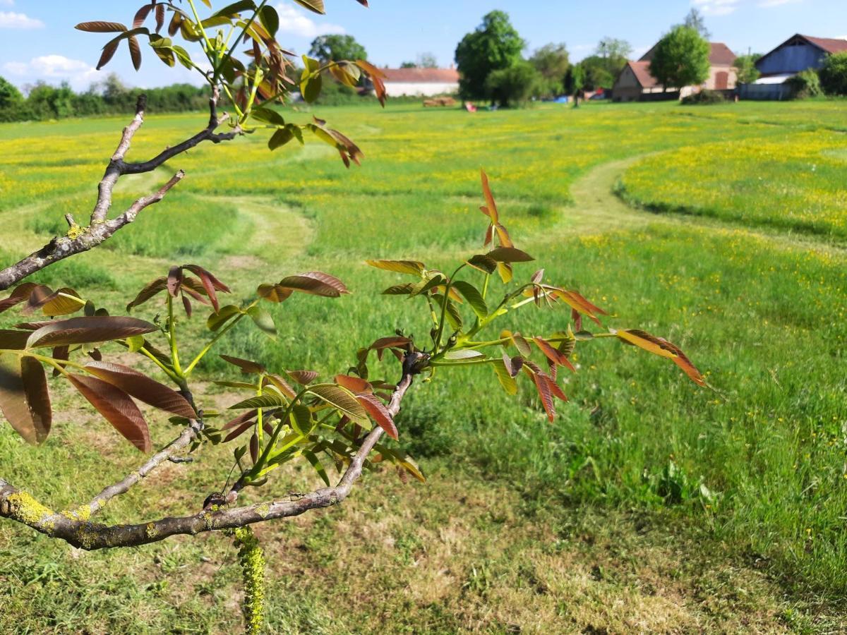 Notre Village Papillon Bed&Breakfast Neret Exteriör bild